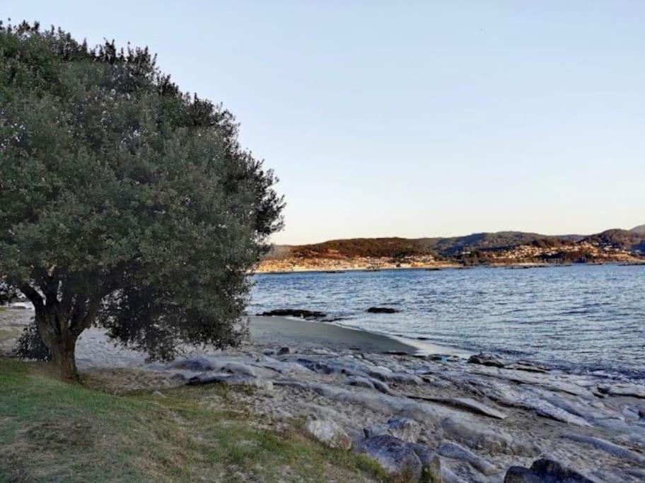 Apartamento Con Jardin Y Piscina Temporada Verano Privados Samieira Buitenkant foto